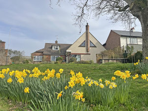 Photo 42- click for photo gallery